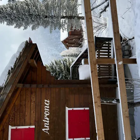 Alphorn - Cosy Chalet Chalet Saas-Fee